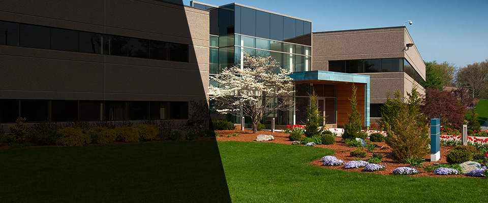 Walnut Landscapers