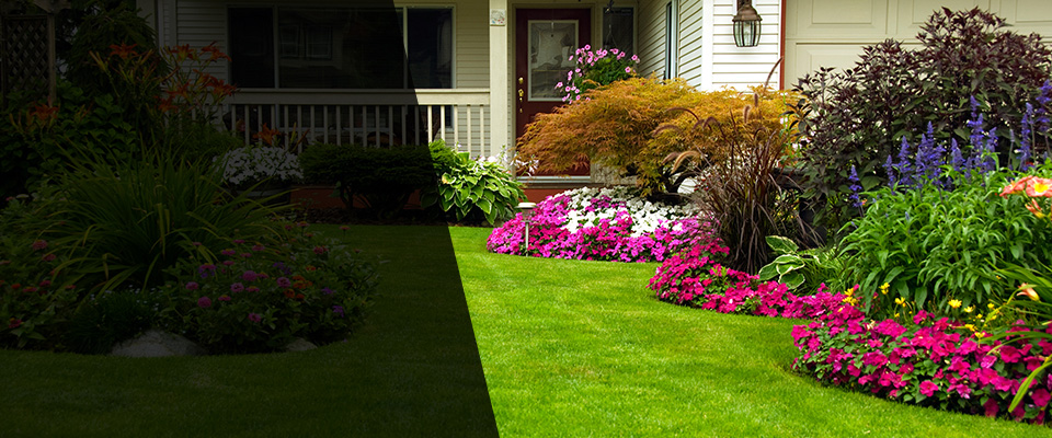 Walnut Landscapers