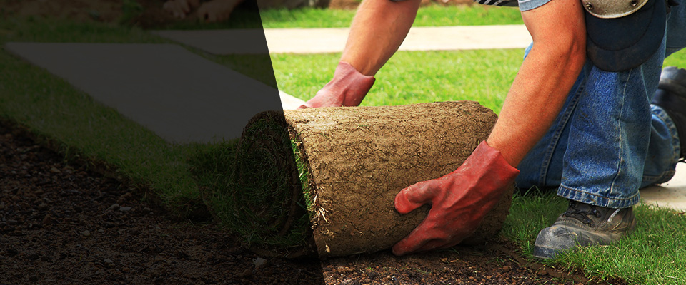 Walnut Landscapers